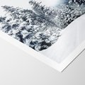 Plakat bez ramy 30x40 - Zimowy Las Pod Kołdrą - las, zima