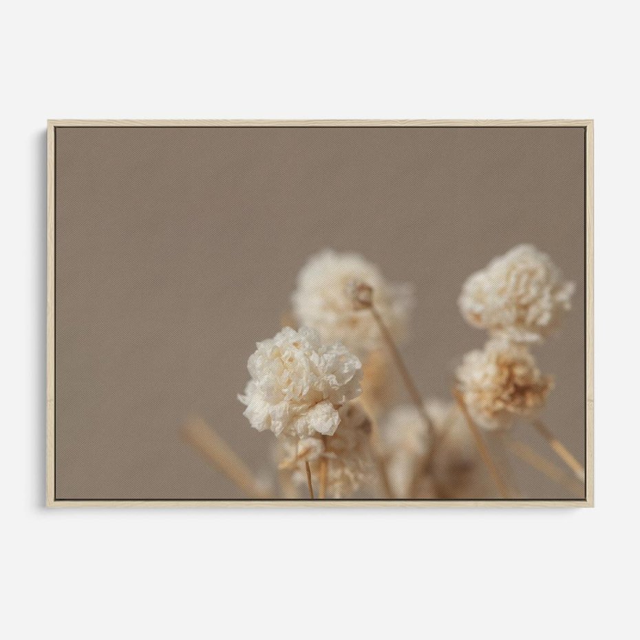 Obraz w ramie 70x50 - Przezroczyste piękno - gipsówka, suche - rama drewno