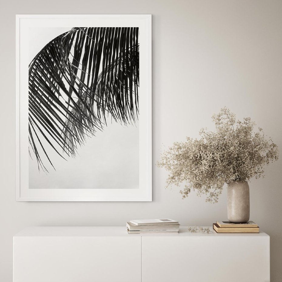 Plakat w ramie 50x70 - Czarno-Biały Kontrast - czarno białe zdjecie, palma - rama biała