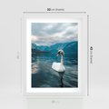 Plakat w ramie 30x40 - Łabędzi Śpiew - fotografia, plakat - rama biała