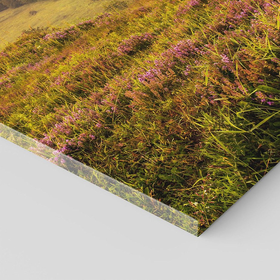 Obraz na płótnie 70x100 - Pejzaż na łące - pejzaż, łąka