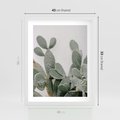 Plakat w ramie 40x50 - Imponujący Kaktus - duży kaktus, opuncja - rama biała