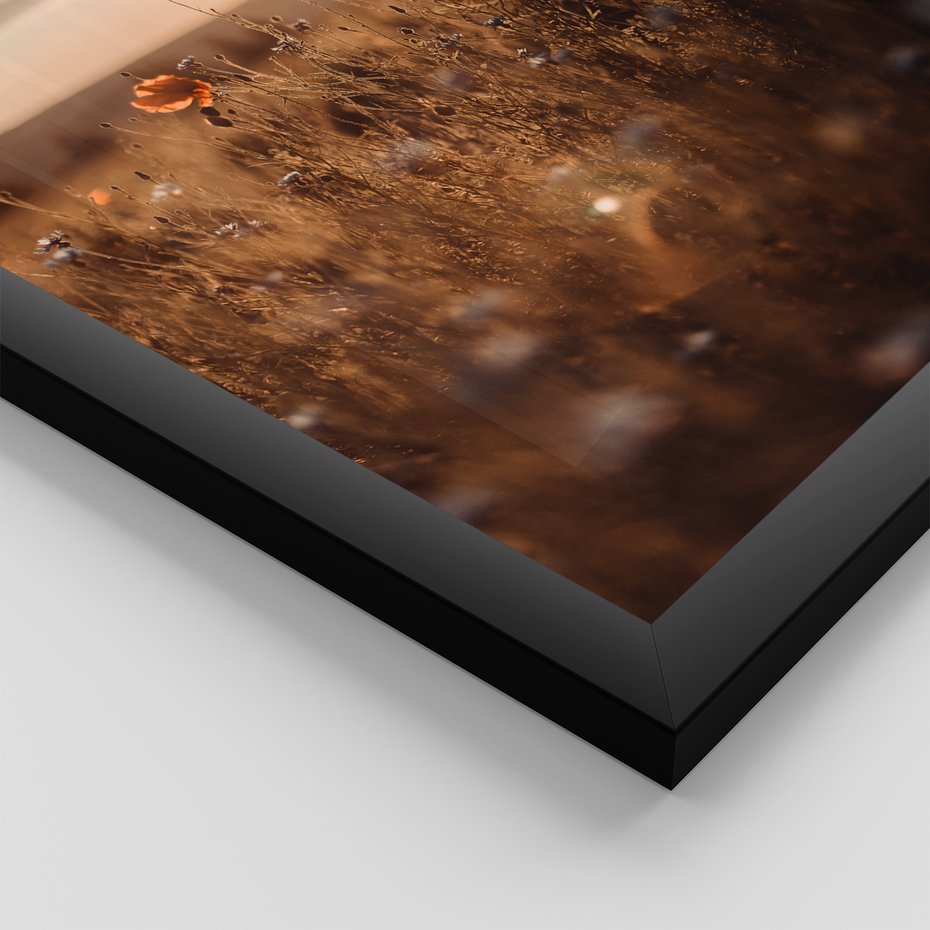 Zestaw obrazy w ramie 50x70 galeria - Zachód, słońca, łąka, kwiaty - rama czarna