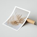 Plakat bez ramy 30x40 - Boho Urok Traw Pampasowych - suche trawy, pampas