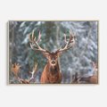 Obraz w ramie 120x80 - Monarcha Zimowej Dziczy - jeleń, zima - rama drewno