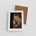 Plakat w ramie 30x40 - Władca Dzikiej Przyrody - lew, król - rama biała