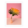 Plakat bez ramy 30x40 - Egzotyczna monstera - monstera, liść