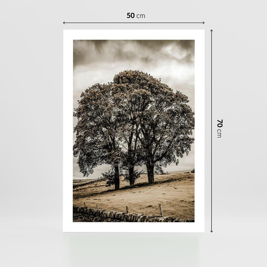 Plakat bez ramy 50x70 - Spokojna Osamotniona Chwila - beżowe kolory, samotne drzewo na polu