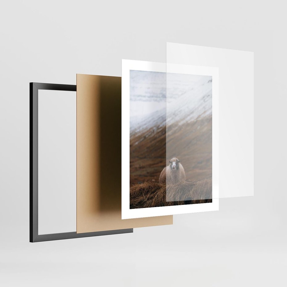 Plakat w ramie 40x50 - Owiecka panorama - góry, owca - rama czarna