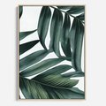 Obraz w ramie 70x100 - Ruchome liście czasu - liście palmy, tropikalne - rama drewno