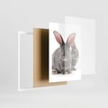 Plakat w ramie 30x40 - Uroczy królik wśród natury - królik, zając - rama biała