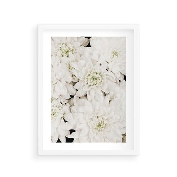 Plakat w ramie 50x70 - Białe Kwiaty: Płatki Delikatności - białe kwiaty, zbliżenie - rama biała