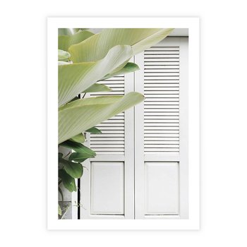 Plakat bez ramy 21x30 - Tropikalne Okno - białe okiennice, zielona tropikalna roślina