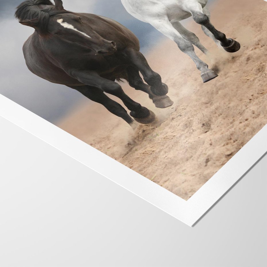 Plakat bez ramy 21x30 - Siła koni w galopie - konie, galop