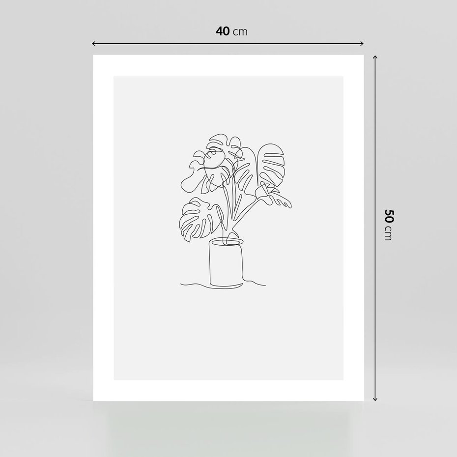 Plakat bez ramy 40x50 - Tajemnicza Harmonia - sztuka one line, monstera