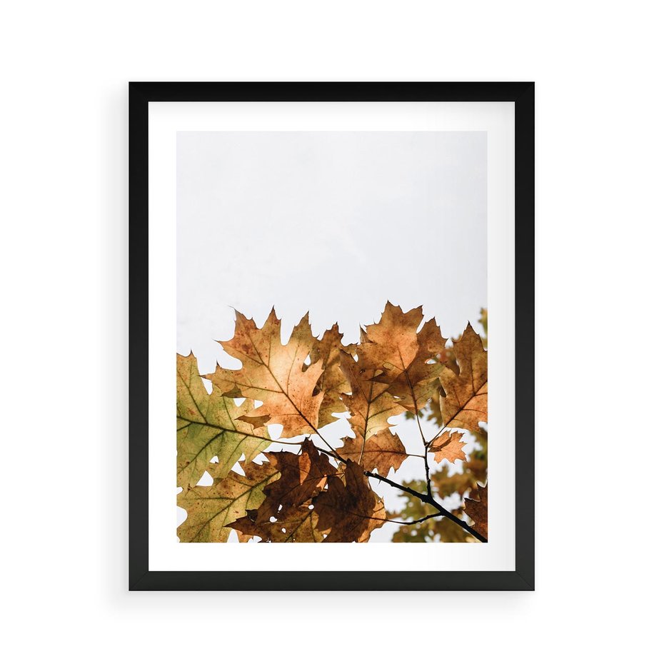 Plakat w ramie 40x50 - Suche Żółte Liście w Malowniczym Ujęciu - liście, żółte - rama czarna