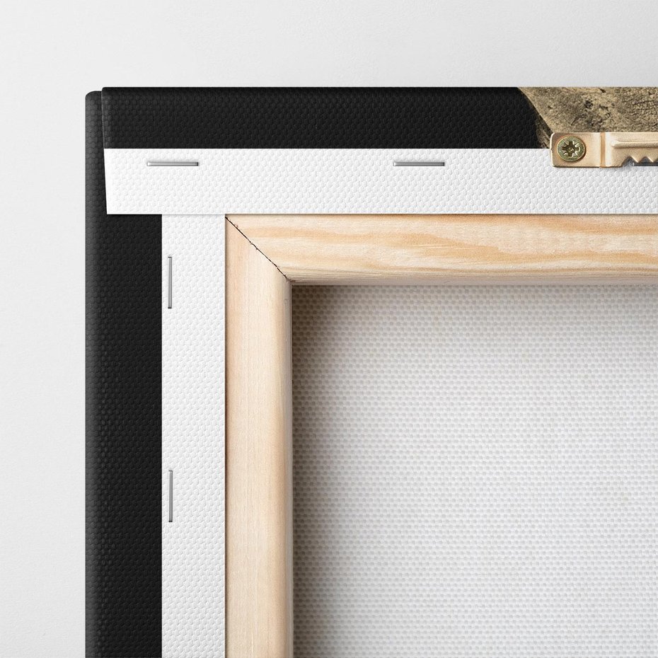 Obraz na płótnie 30x30 - Potężny słoń Afryki - safari, afryka