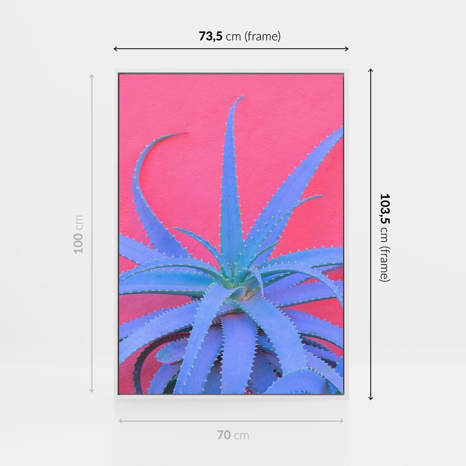 Obraz w ramie 70x100 - Piękno Pustyni - kaktusy, liście - rama biała