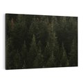 Obraz na płótnie 100x70 - Ciemny las iglasty - las, iglasty
