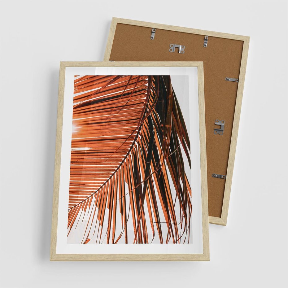 Plakat w ramie 50x70 - Słońce na Palmie - palma, promienie słońca - rama drewno