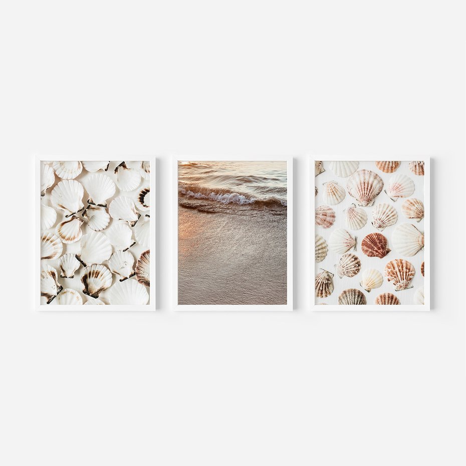Zestaw obrazy w ramie 50x70 galeria - Morze, muszla, zachód, słońca - rama biała