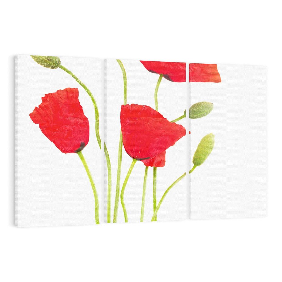 Obraz na płótnie 120x80 - Pola maków w pełnym kolorze - maki, kwiaty