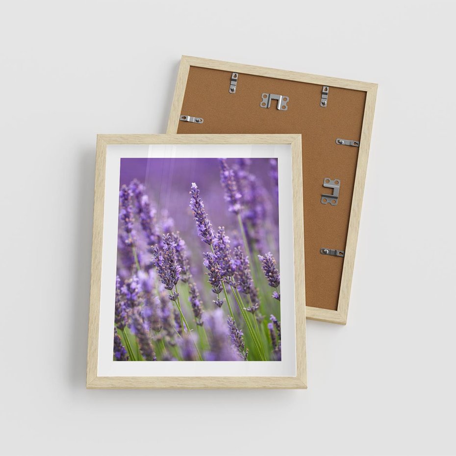 Plakat w ramie 40x50 - Urok lawendy - lawenda, kwiaty - rama drewno
