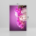 Obraz na płótnie 70x100 - Relaksująca orchidea w spa - spa, orchidea