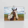 Obraz na płótnie 120x80 - Koń na farmie - koń, konik