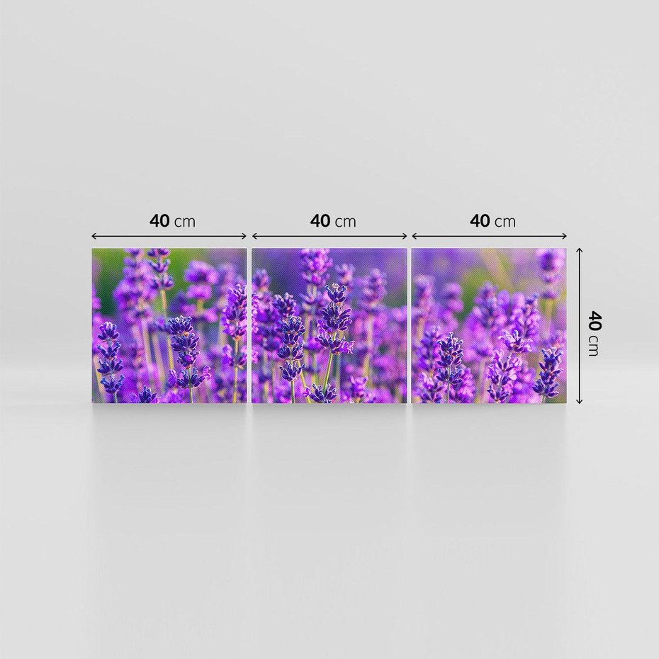 Obraz na płótnie 120x40 - Zaklęta lawenda - lawenda, kwiaty