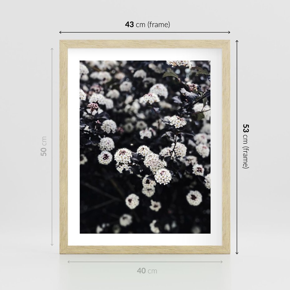 Plakat w ramie 40x50 - Białe Kwiaty na Kwitnącym Krzewie - białe kwiaty, kwitnący krzew - rama drewno