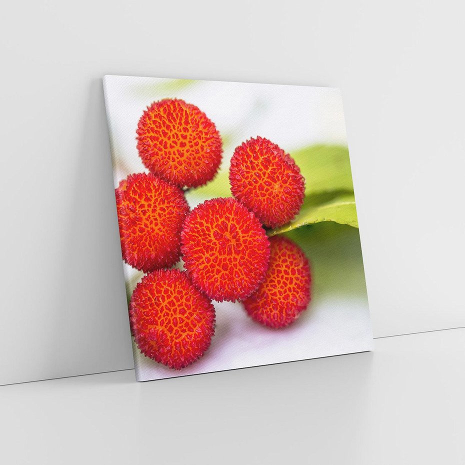 Obraz na płótnie 50x50 - Liczi Owoce - liczi, owoce