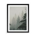 Plakat w ramie 50x70 - Mglista przemiana lasu - las, mgła - rama czarna