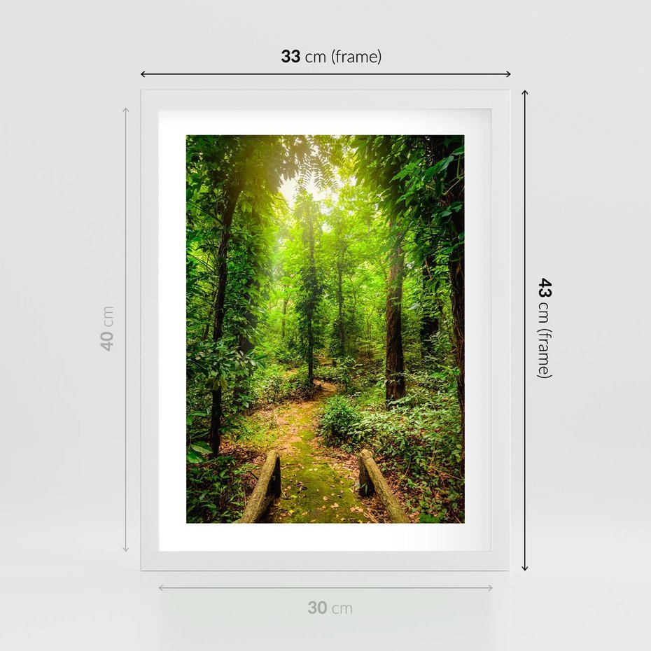 Plakat w ramie 30x40 - Współistnienie z naturą - drzewa, las - rama biała