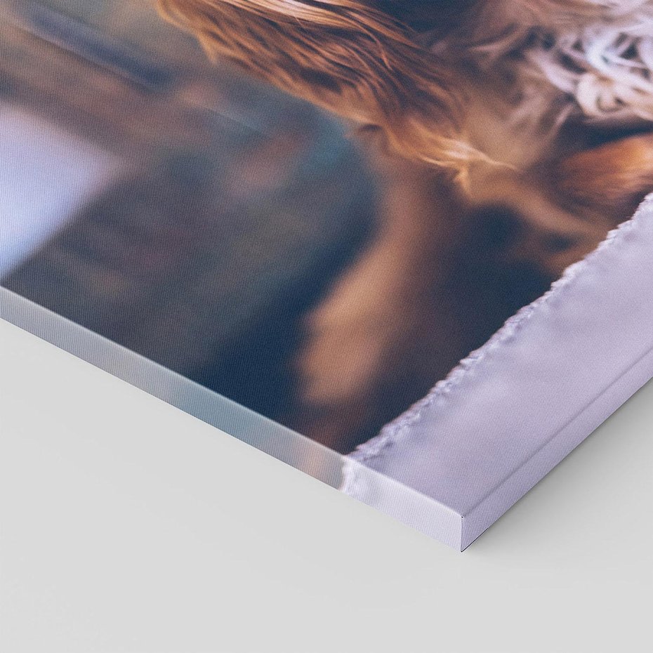 Obraz na płótnie 70x50 - Spacer z pieskiem - pies, piesek