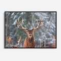 Obraz w ramie 100x70 - Monarcha Zimowej Dziczy - jeleń, zima - rama czarna