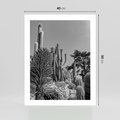 Plakat bez ramy 40x50 - Pustynny Klimat - czarno białe zdjecie, pustynia