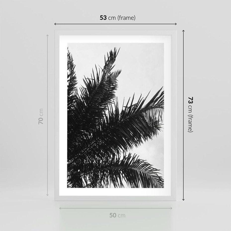 Plakat w ramie 50x70 - Czas Zapomnienia - palmy, czarno biała fotografia - rama biała