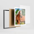 Plakat w ramie 40x50 - Elegancki wierzchowiec - koń, portret - rama czarna