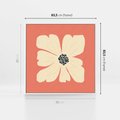 Obraz w ramie 80x80 - Malowane Kolorowe Echa - minimalistyczna grafika, biały kwiat na różowym tle - rama biała