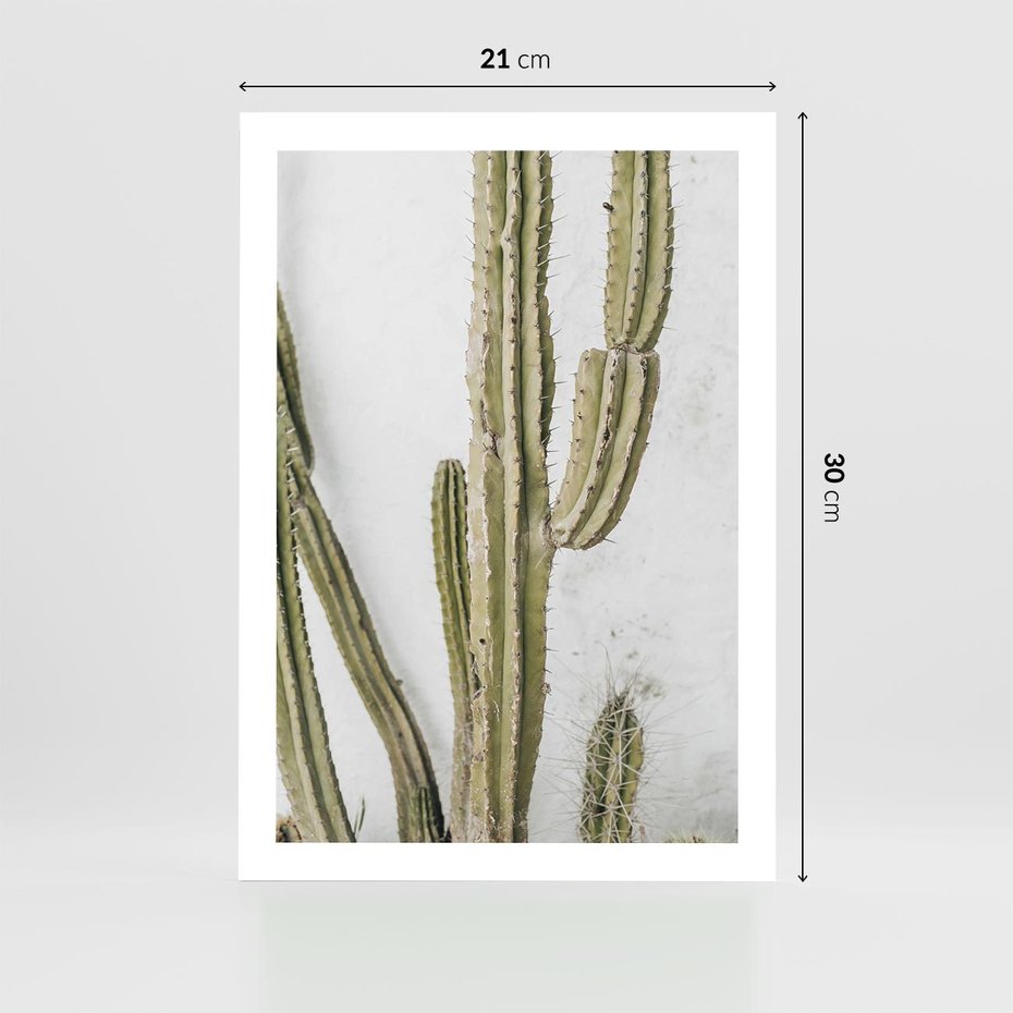 Plakat bez ramy 21x30 - Kaktus w Stylu Boho - kaktus, roślina tropikalna