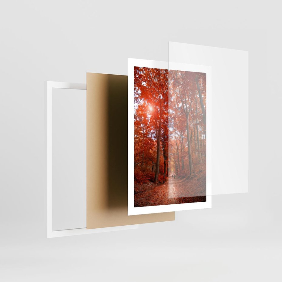 Plakat w ramie 50x70 - Magia jesiennego lasu - las, jesień - rama biała