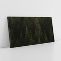 Obraz na płótnie 120x60 - Ciemny las iglasty - las, iglasty
