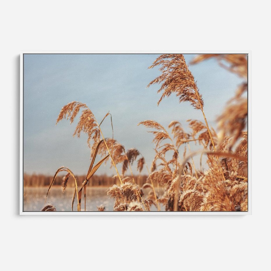 Obraz w ramie 70x50 - Wyraz Stylu - trawy, boho - rama biała