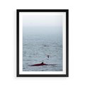 Plakat w ramie 50x70 - Spotkanie z Orką - morze, ocean - rama czarna