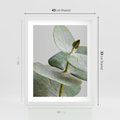 Plakat w ramie 40x50 - Eukaliptusowa zieleń - eukaliptus, zielone - rama biała