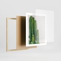 Plakat w ramie 40x50 - Minimalistyczne Kaktusy na Białym Tle - kaktusy, minimalistyczna fotografia - rama drewno