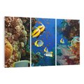 Obraz na płótnie 120x80 - Podwodne królestwo rafy koralowej - rafa, koralowa