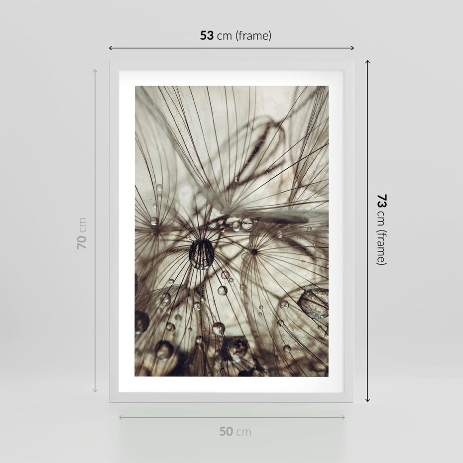 Plakat w ramie 50x70 - Lekkie dmuchawce - dmuchawce, krople - rama biała