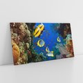 Obraz na płótnie 120x60 - Podwodne królestwo rafy koralowej - rafa, koralowa
